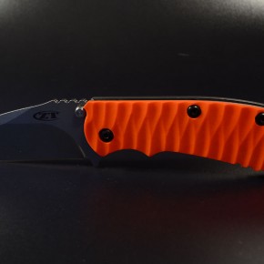 ZT550 days "rescue"