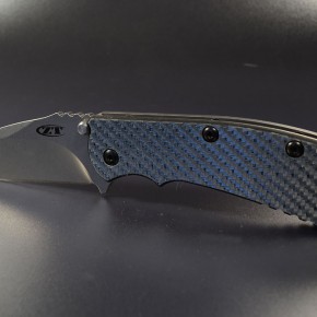 ZT550 days "future"