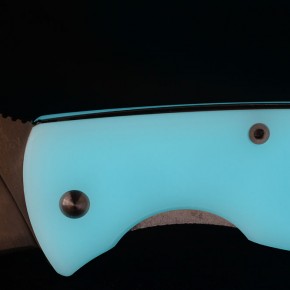 Spyderco Tenacious "nightlight"