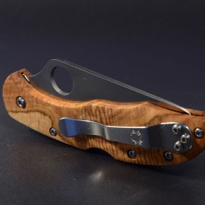 Spyderco Delica "beach"
